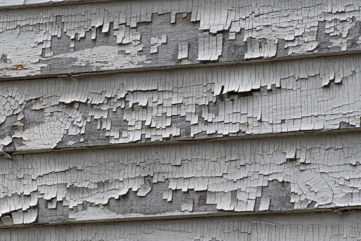 Lead Paint